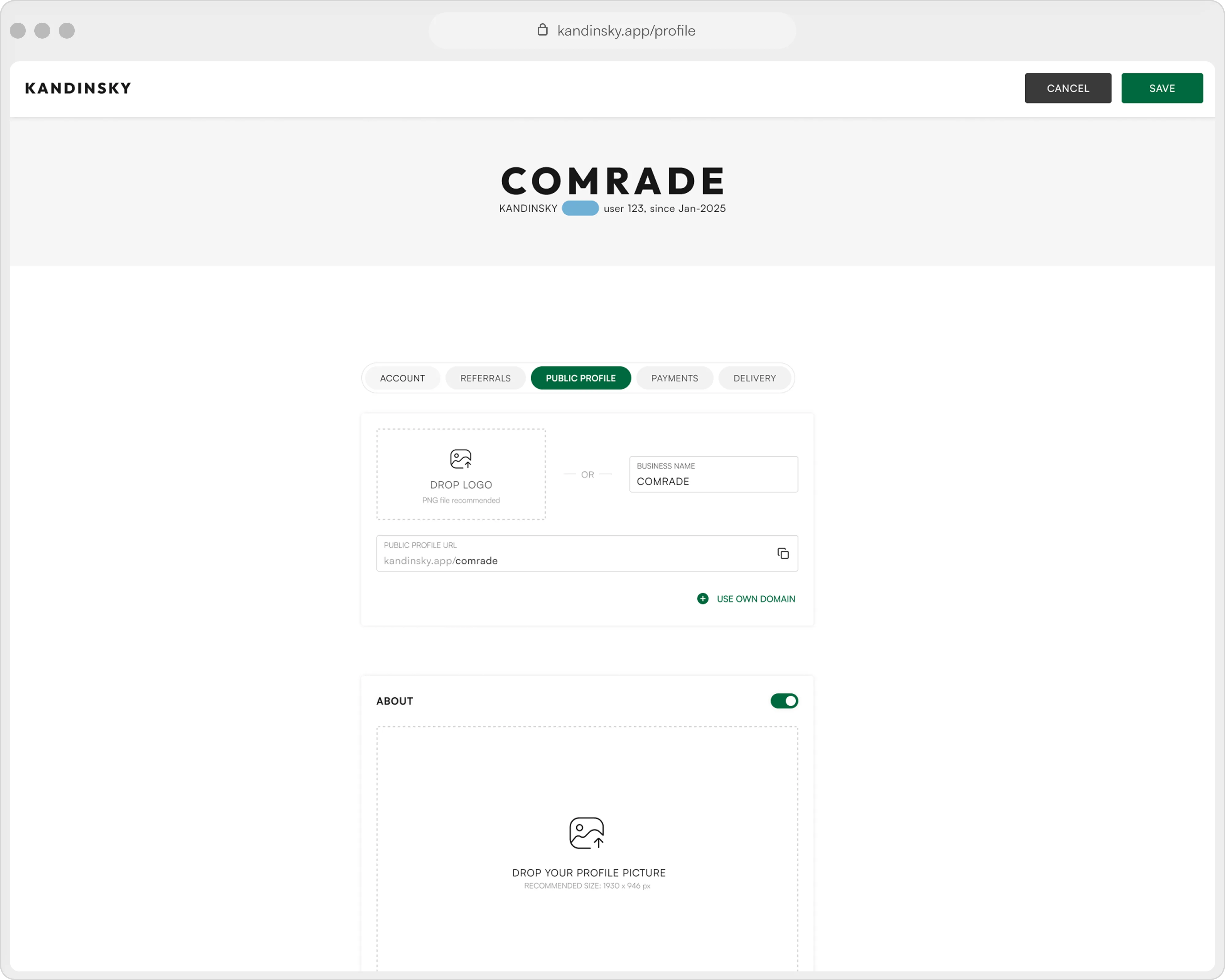 Kandinsky public profile and domain settings